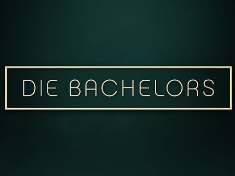 Logo von "Die Bachelors"
