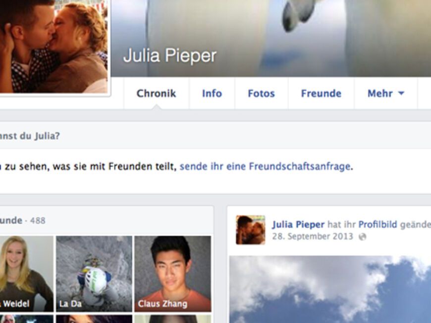 "Pinguinpower forever": Julia Piepers Facebook-Titelbild zeigt ein Pinguin-Paarbild