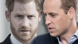 Montage: Prinz Harry und Prinz William ernst