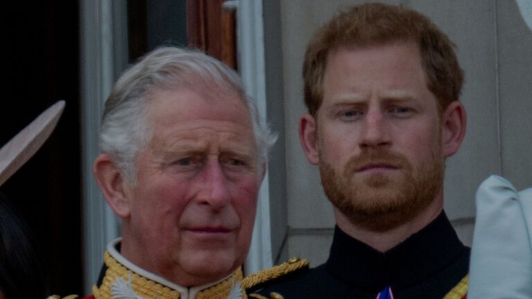 König Charles III. und Prinz Harry schauen in die Ferne.