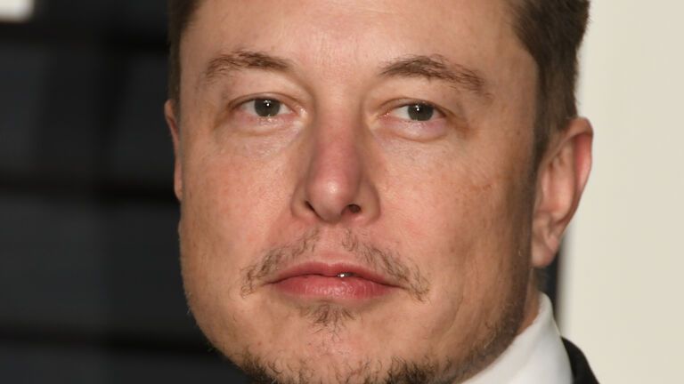 Elon Musk guckt in die Ferne