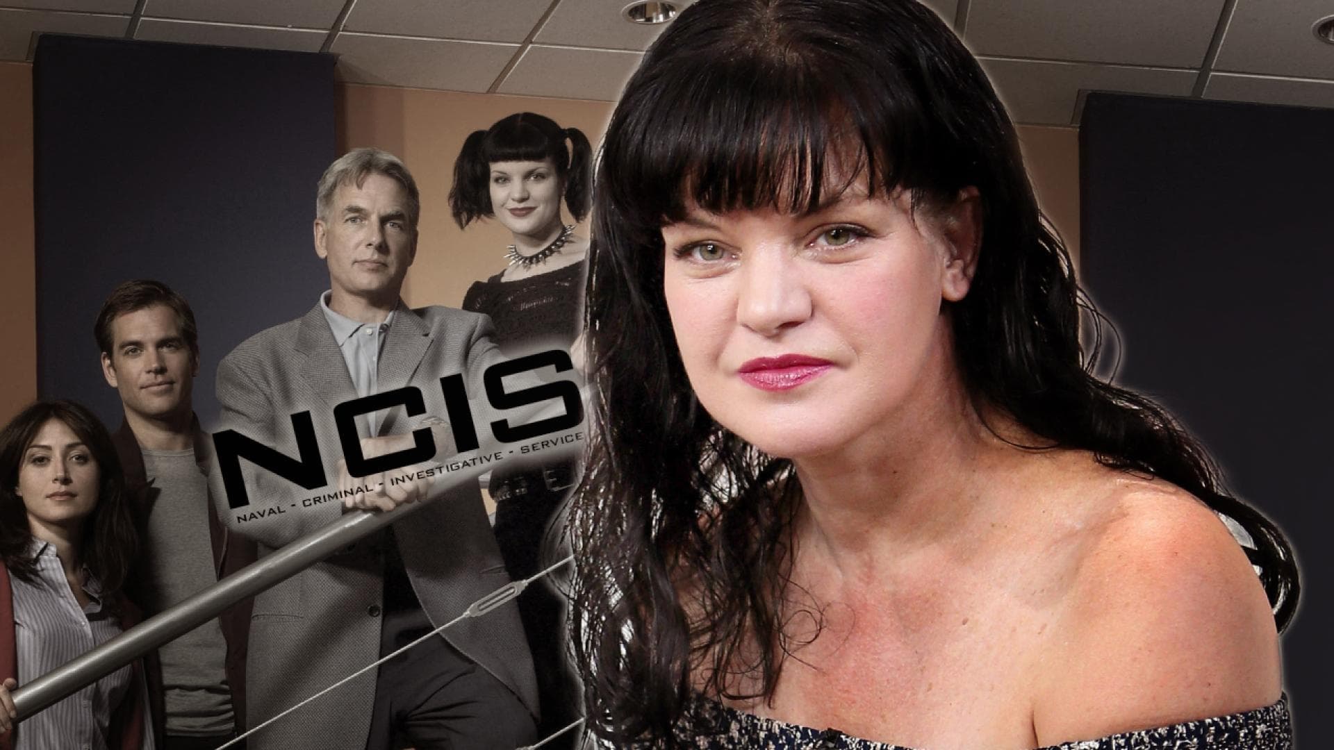 Navy Cis Was Ist Mit Abby Passiert "Navy CIS": Eklat um "Abby"-Star Pauley Perrette - Der Grund für ihren