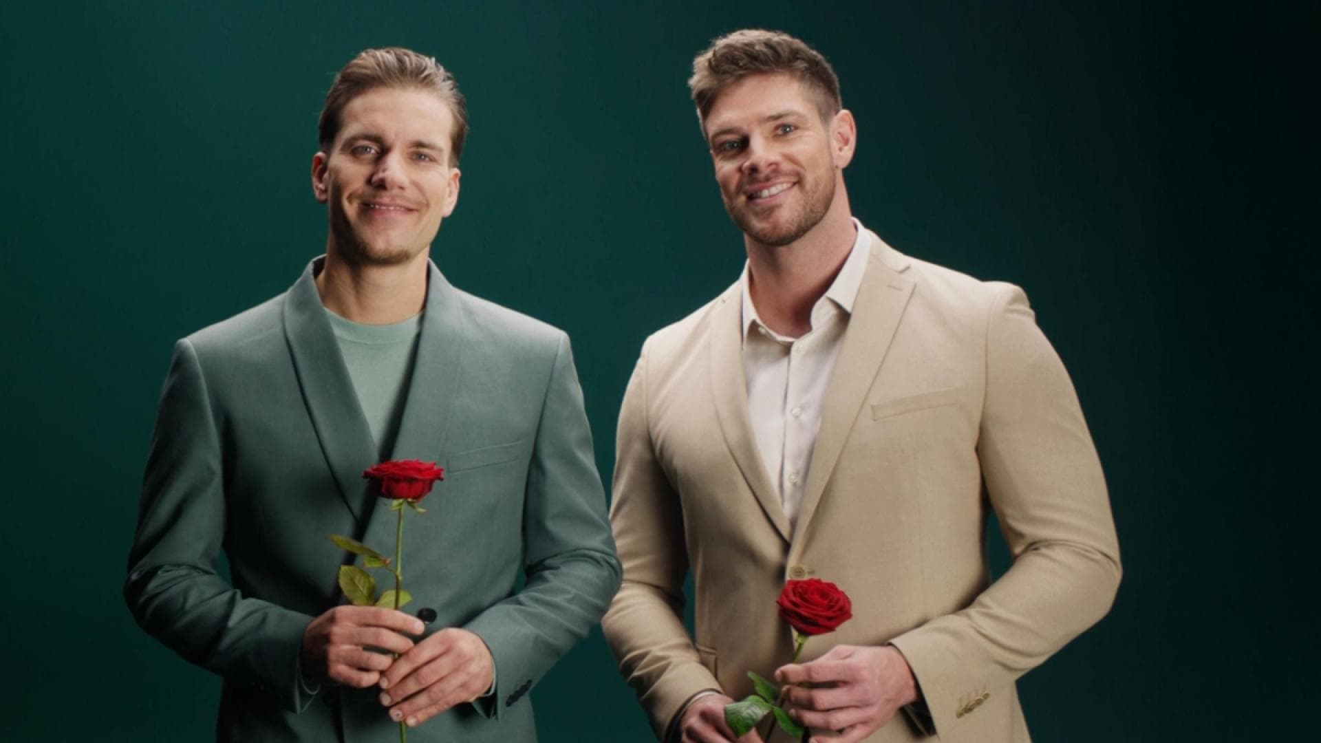 -Die-Bachelors-Zu-hnlich-Fans-spotten-ber-Felix-Stein-Martin-Braun