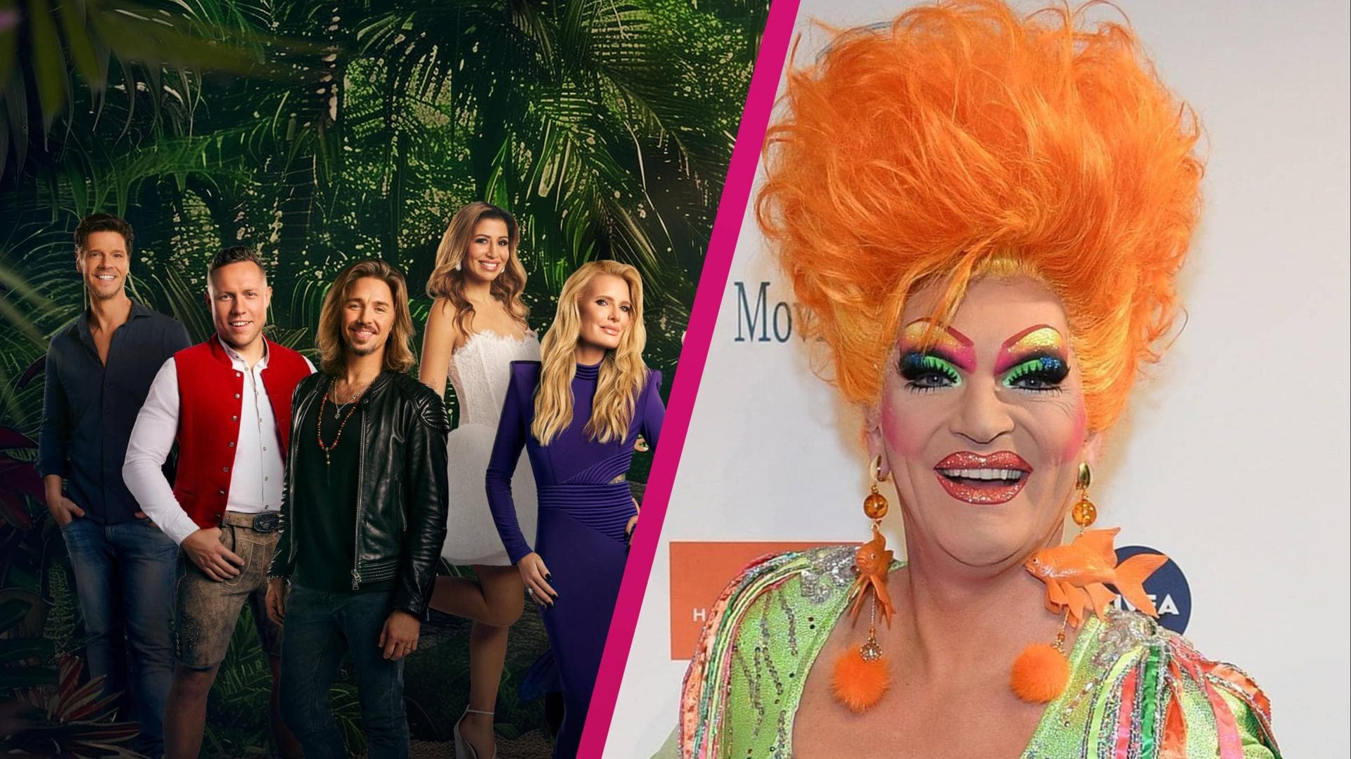 Dschungelcamp-2026-Sex-im-Busch-Olivia-Jones-traut-es-IHM-zu