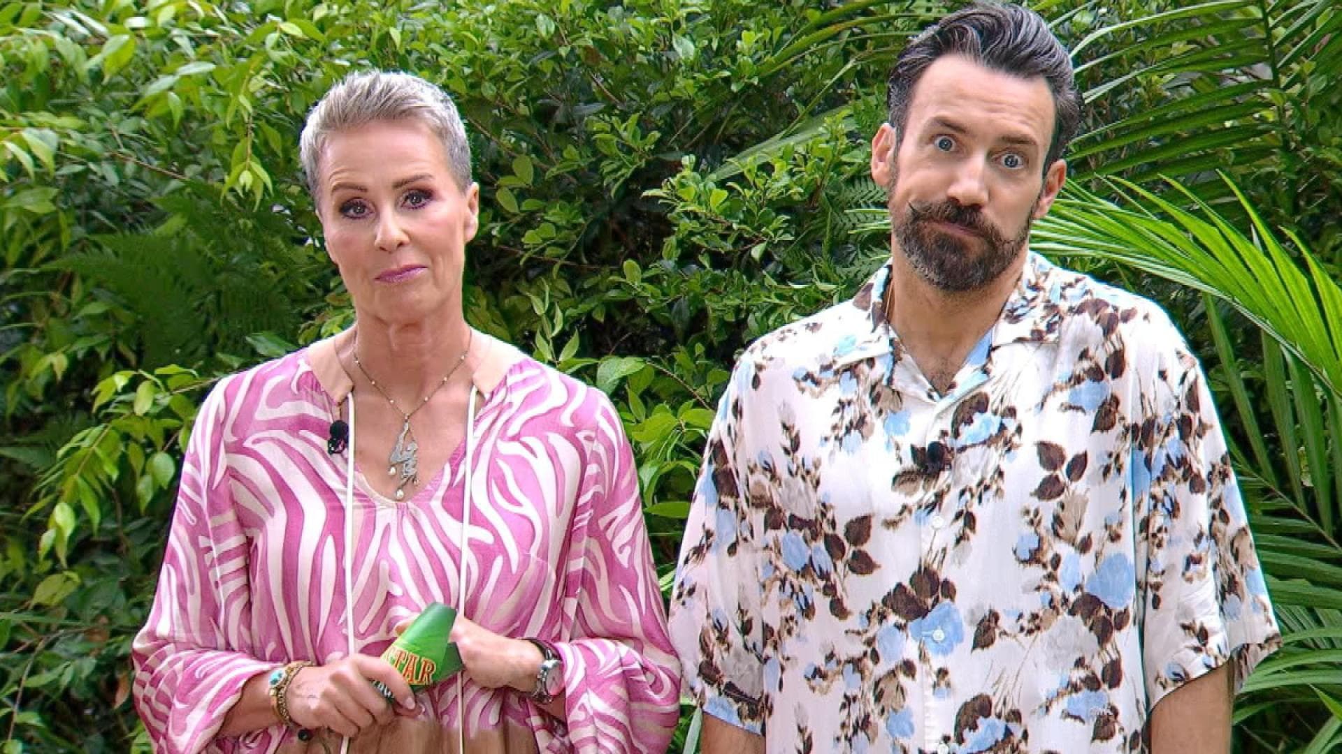 Dschungelcamp-Technische-St-rung-Keinen-Bock-auf-Ariel-