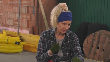 Désirée Nick schaut bei "Promi Big Brother" ernst