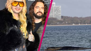 Bill und Tom Kaulitz zeigen sich vom Schicksal des gestrandeten Buckelwals Timmy tief bewegt