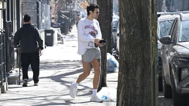 Harry Styles besucht Zoë Kravitz