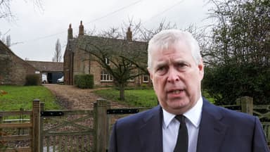 Foto-Kollage von Andrew Mountbatten Windsor vor der Mash Farm