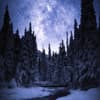 Winter Himmel Schnee Tannen