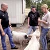 Bauer sucht Frau International Iris mit Olaf und Ralf
