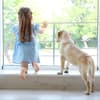 Ein Kind und ein Hund sitzen vor dem Fenster