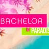 Bachelor in paradise logo