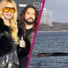 Bill und Tom Kaulitz zeigen sich vom Schicksal des gestrandeten Buckelwals Timmy tief bewegt