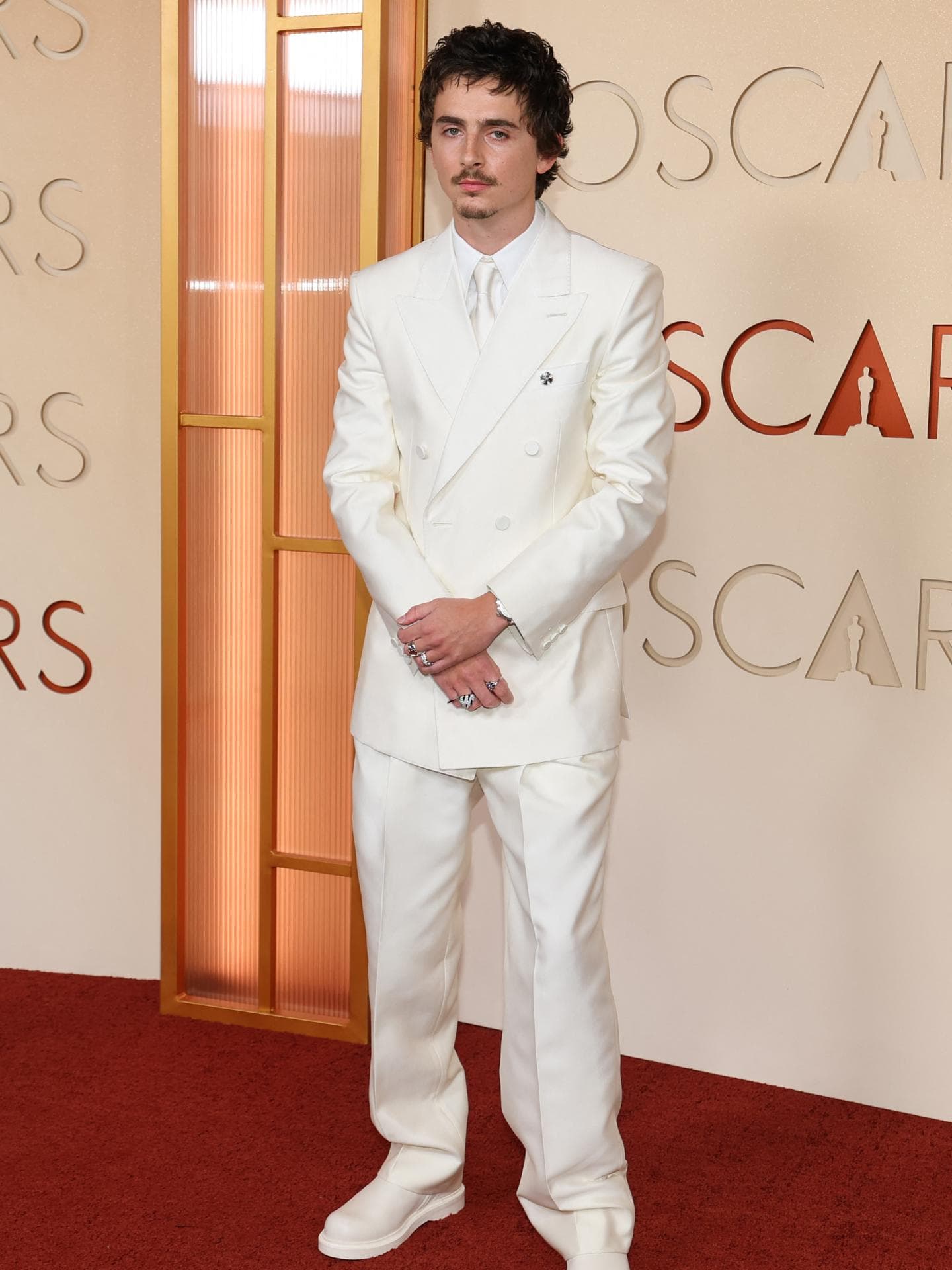 Timothee Chalamet bei den Oscars 2026