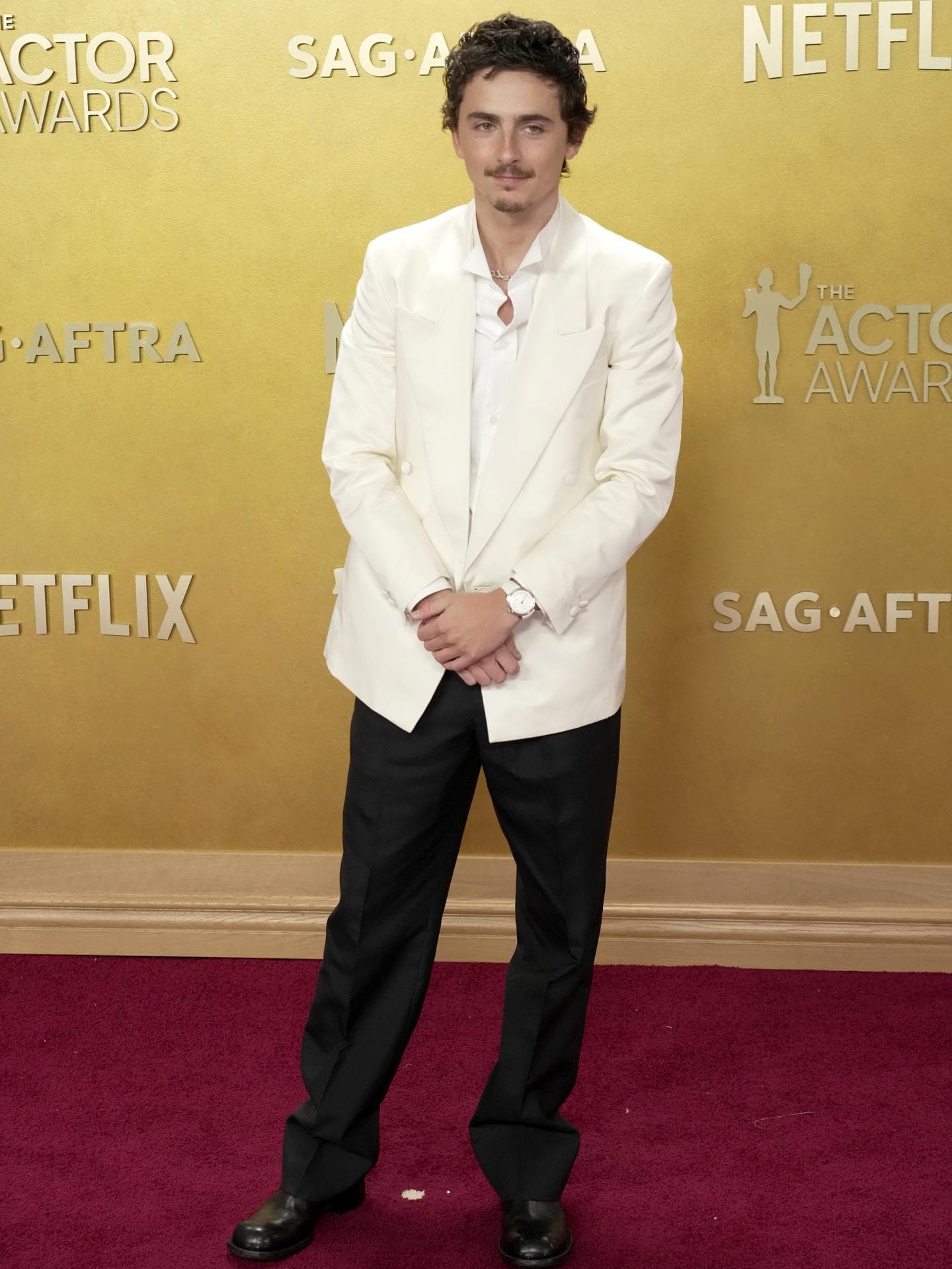 Stars bei den SAG Awards 2026