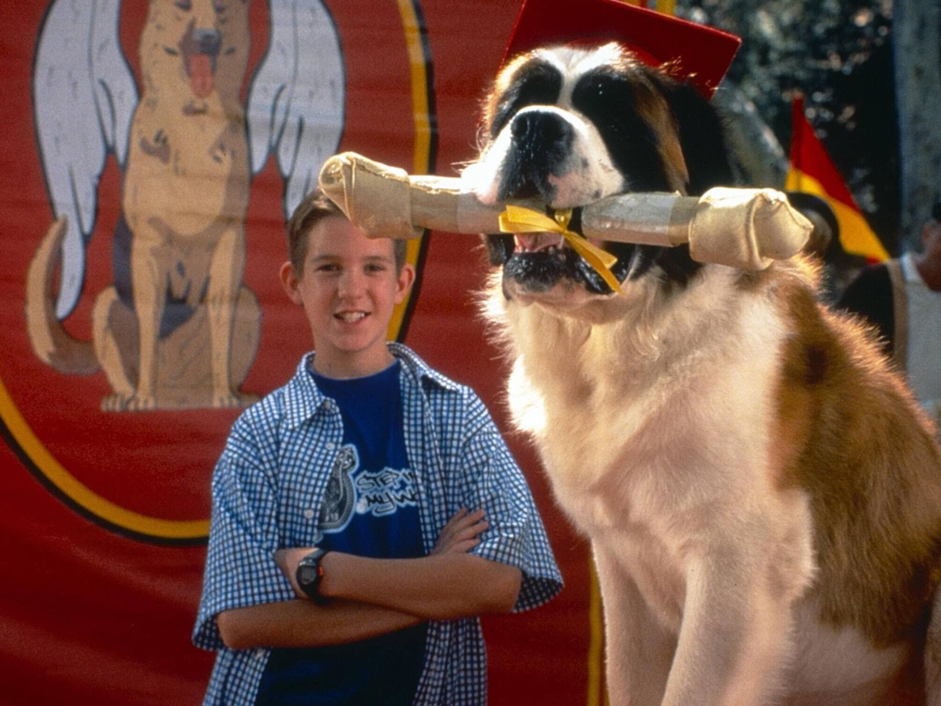 Joe Pichler im Film "Ein Hund namens Beethoven"