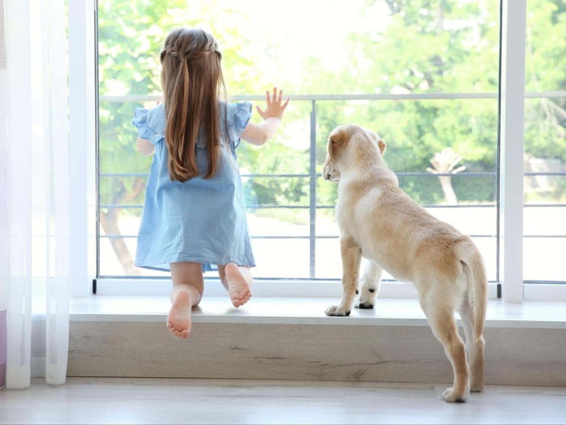 Ein Kind und ein Hund sitzen vor dem Fenster