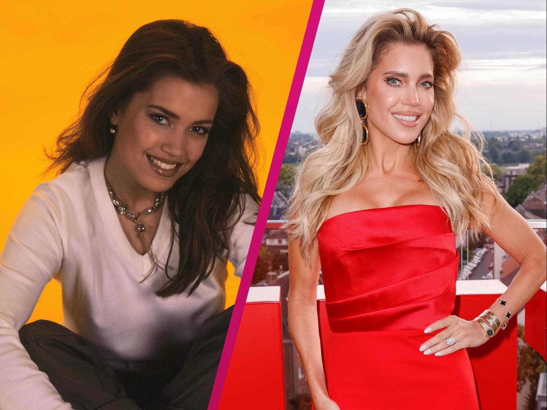 Sylvie Meis jung und heute