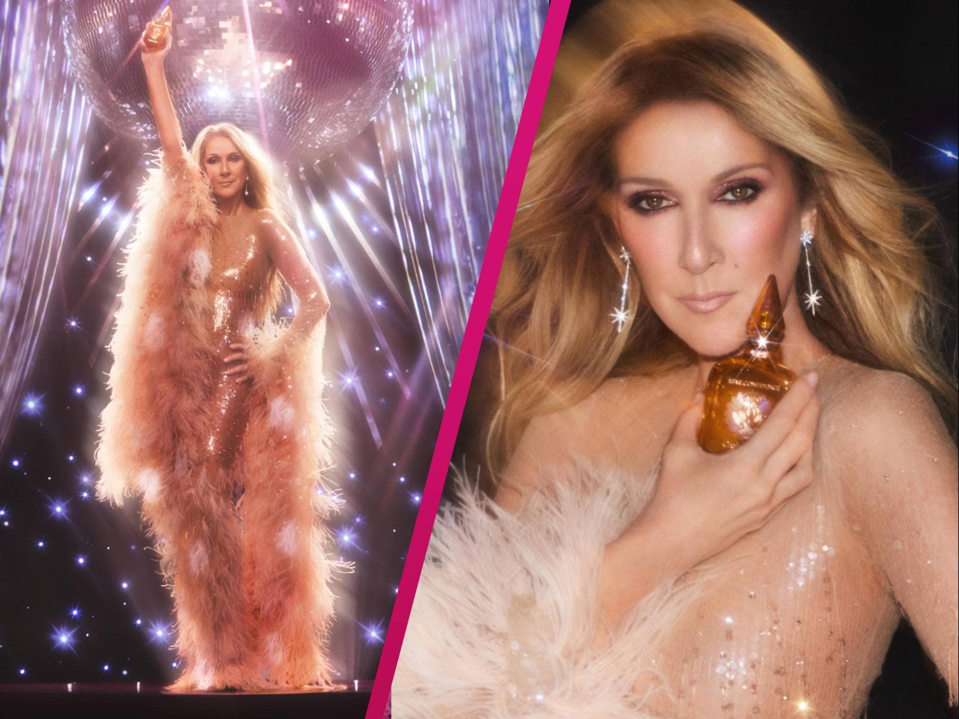 Céline Dion für Charlotte Tilbury