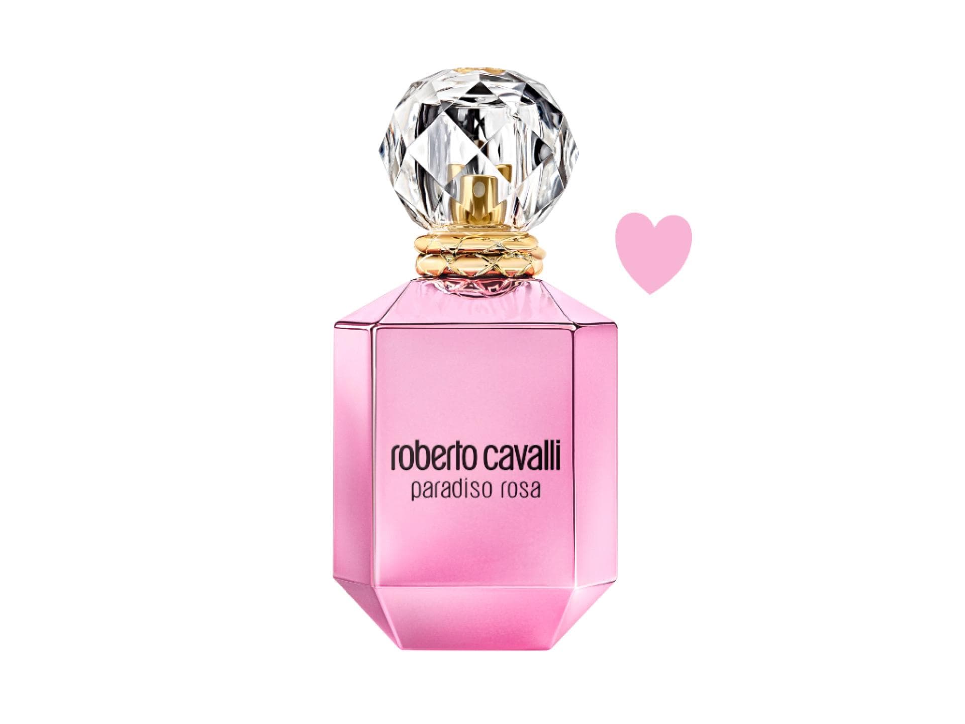 roberto cavallo paradiso rosa
