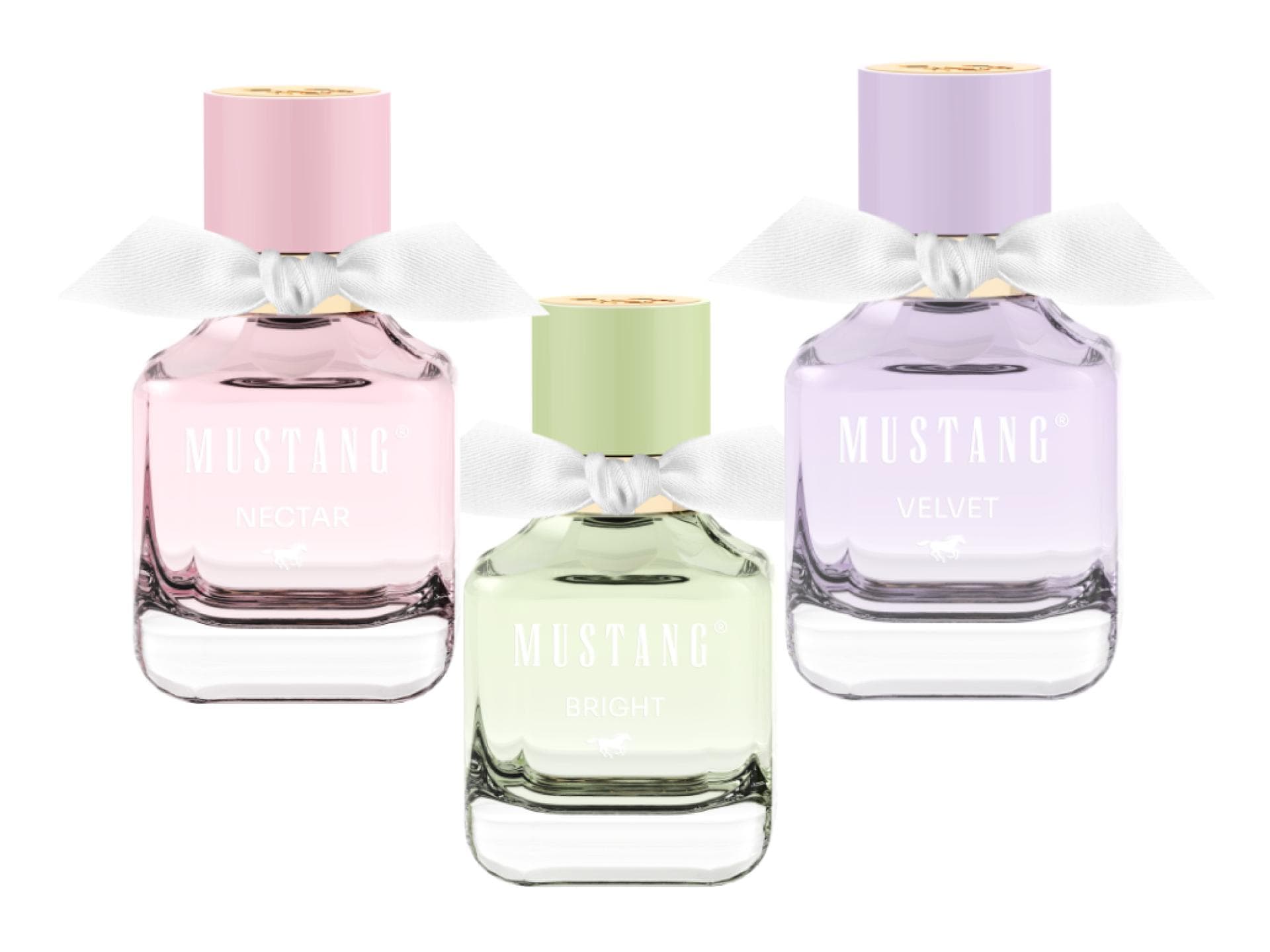 mustang düfte