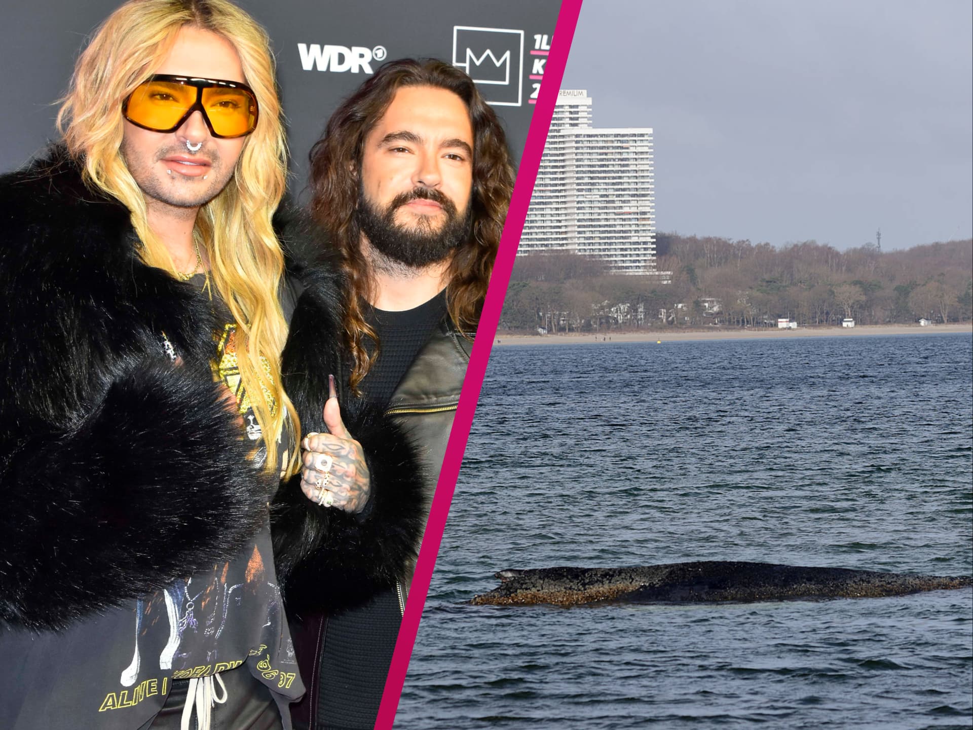 Bill und Tom Kaulitz zeigen sich vom Schicksal des gestrandeten Buckelwals Timmy tief bewegt