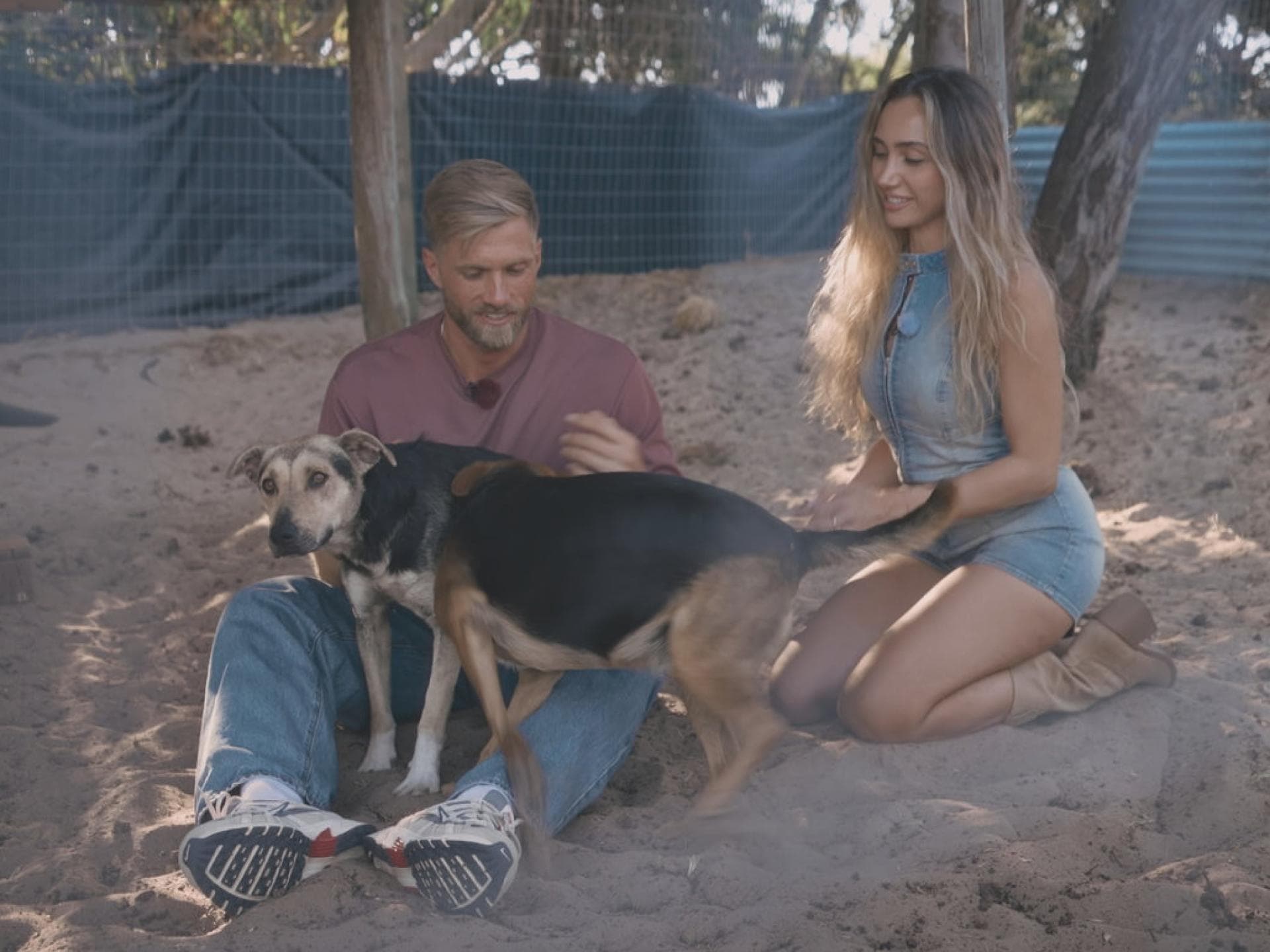 Sebastian Paul mit Nadja bei Hunden
