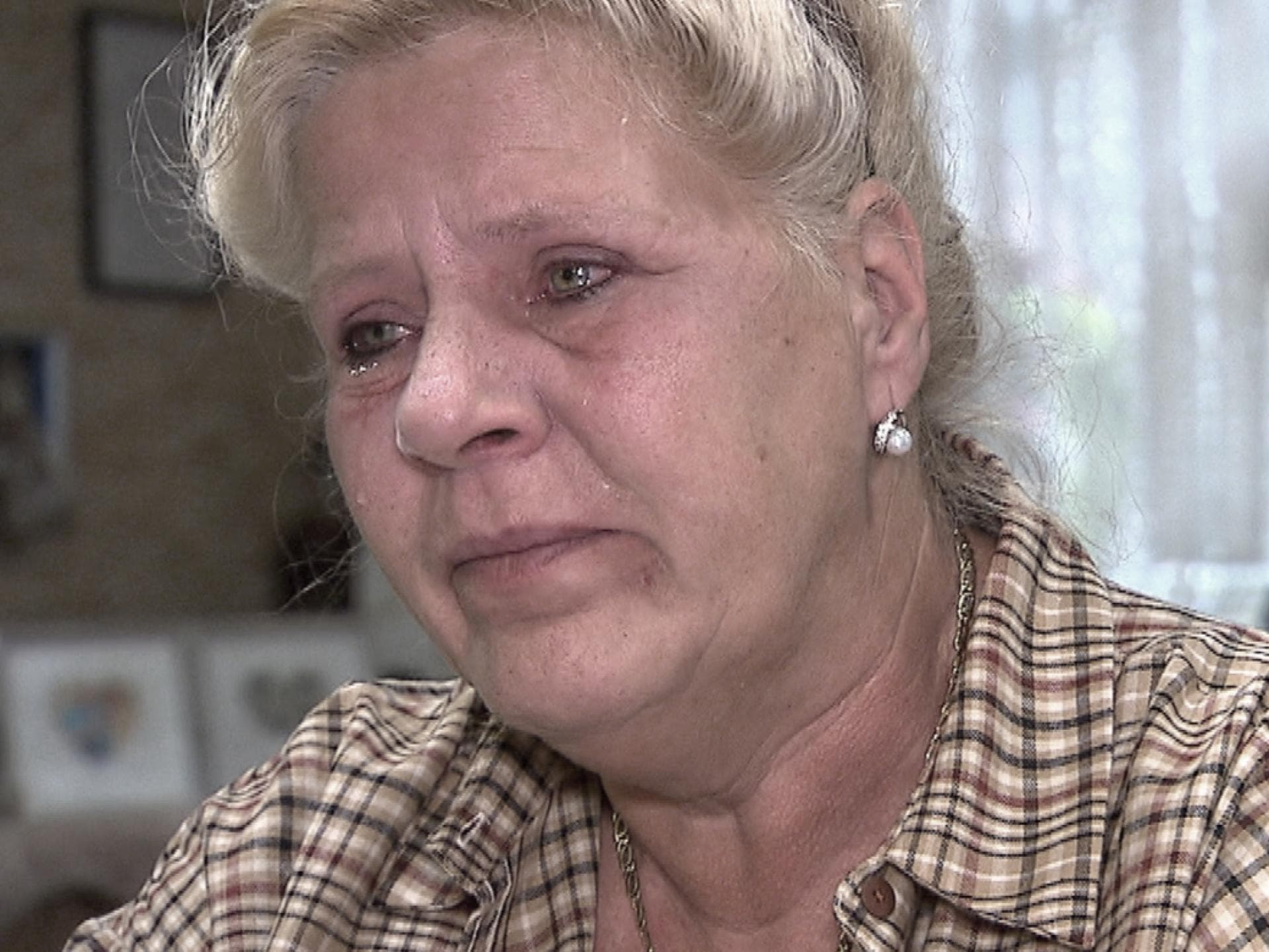 Silvia Wollny: Schreckliches Ereignis - Sie weint bittere Tränen im TV