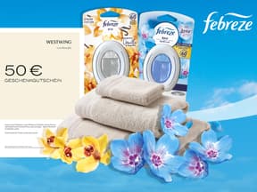 Westwing und P&G