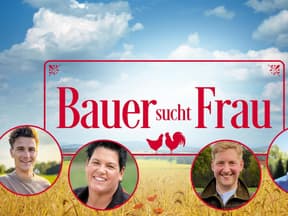 Bauer sucht Frau Collage Staffel 21