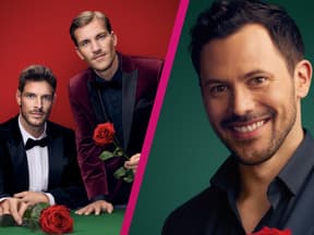 Collage Die Bachelors und Sebastian Klaus