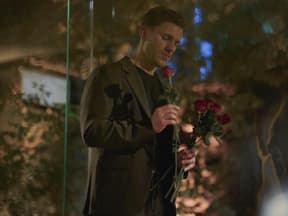 Felix Stein mit Rosen bei "Die Bachelors