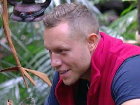 Patrick Romer tötete im Dschungelcamp mehrere Insekten