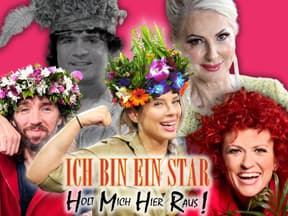 Einige der Dschungelcamp-Gewinner der letzten Jahre