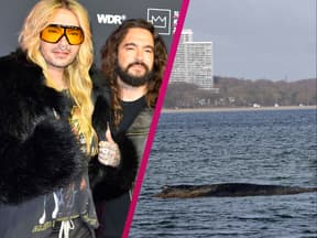 Bill und Tom Kaulitz zeigen sich vom Schicksal des gestrandeten Buckelwals Timmy tief bewegt