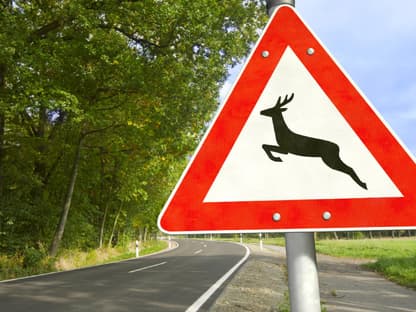 Wildunfall Tipps Warnschild für Wildwechsel