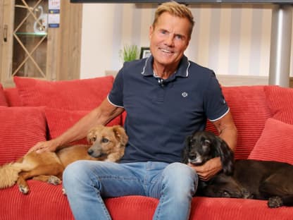 Dieter Bohlen mit HUnden auf Sofa