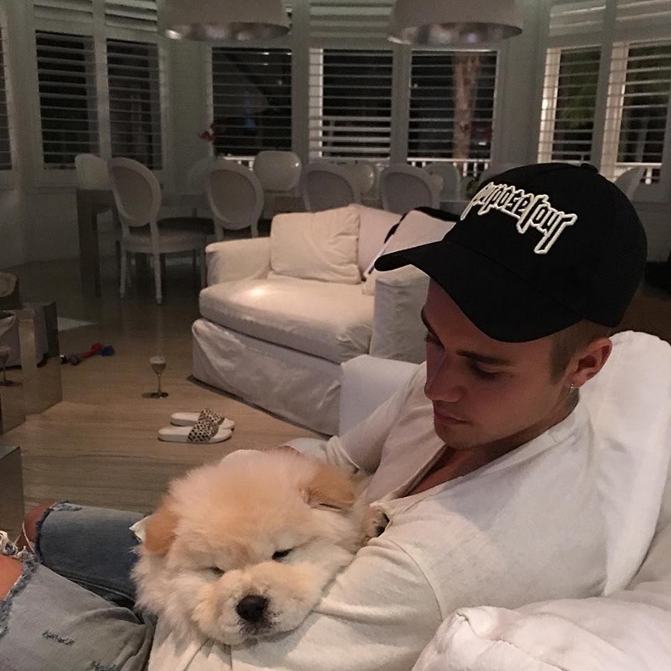 Bieber: Hundewelpe wohnt bei ihm - Richie nach?