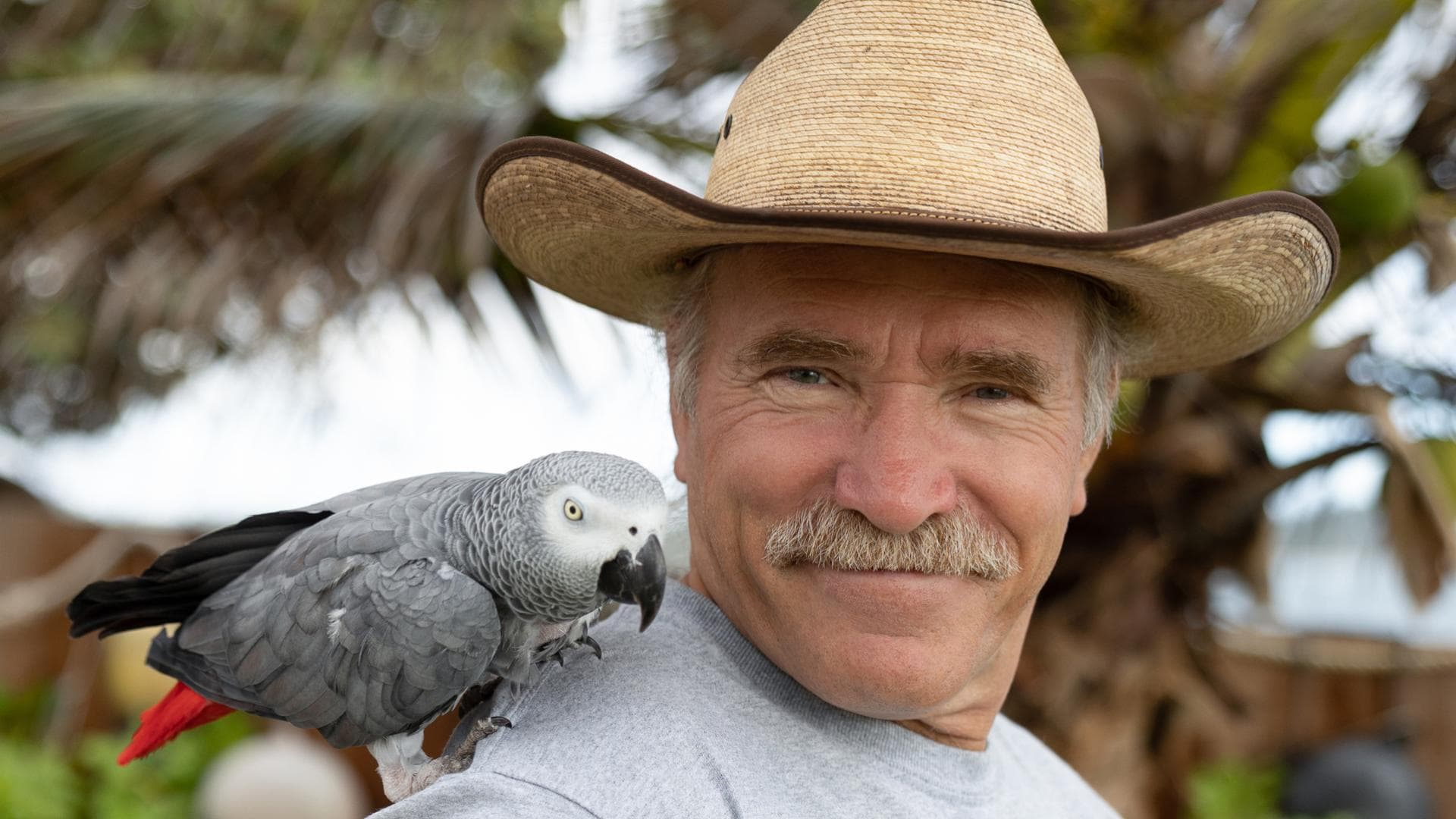 Konnys Barbecue Bibel Lecker Grillen Mit Den Reimanns Konny Reimann Konny Reimann: Abschied für immer?