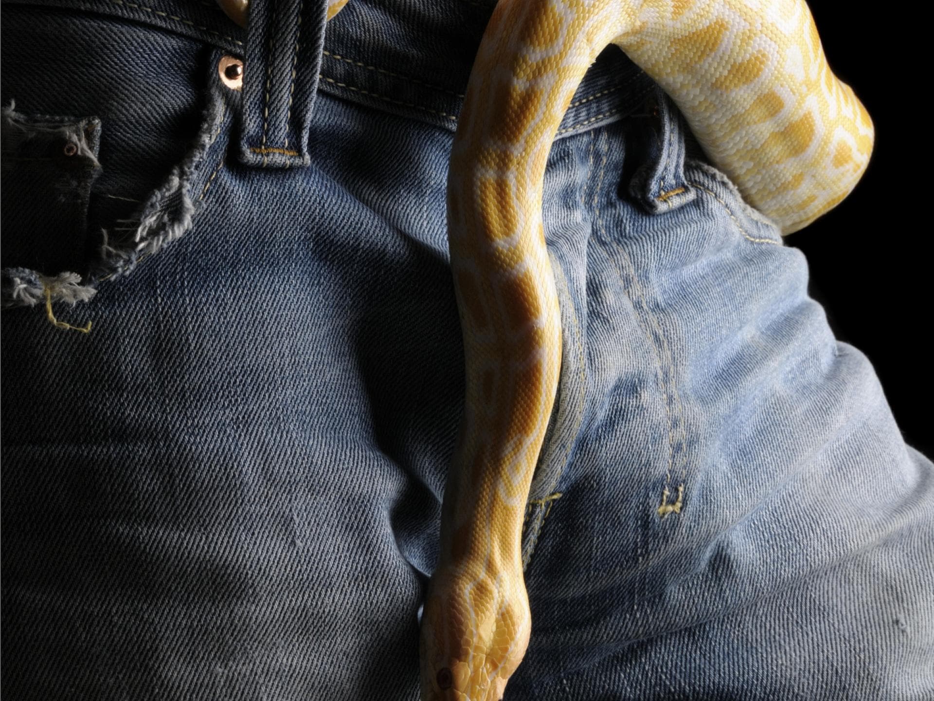 5 Gründe, warum Männer uns Penis-Bilder schicken!