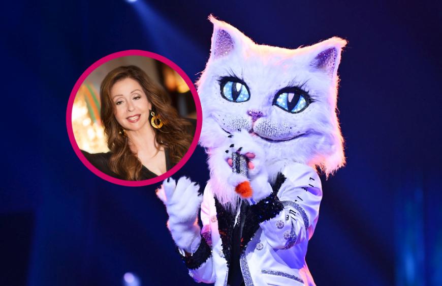 The Masked Singer Insider Verrat Die Katze Ist Vicky Leandros