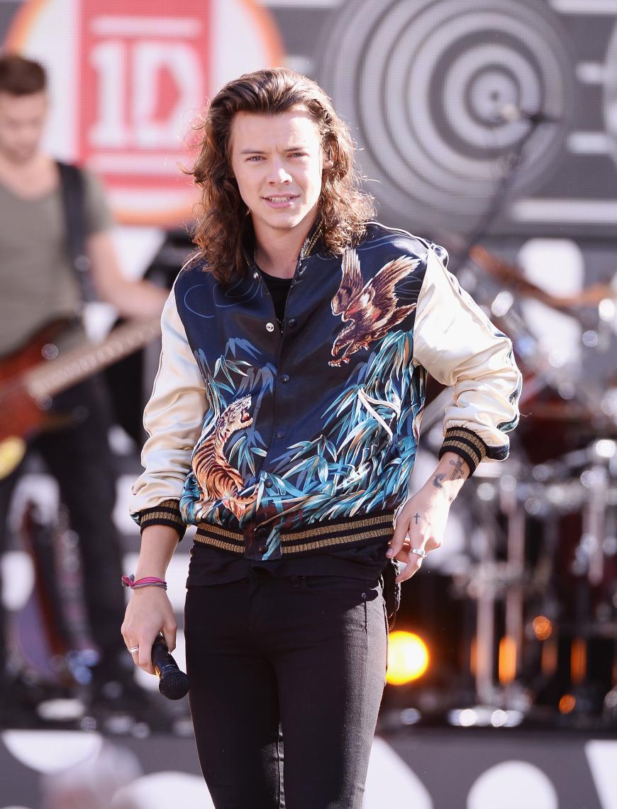 Harry Styles Heimliche Affare Mit Flugbegleiterin Megan Smith Ok Magazin