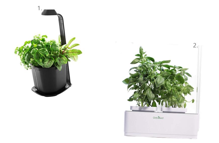 Es gibt nämlich Indoor-Gärten, i | Prêt à Pousser: Für diesen