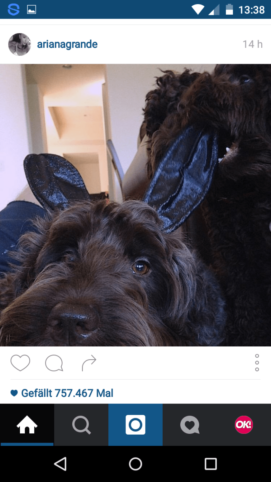 Ariana Grande feiert mit ihren süßen Hunden das Osterfest.