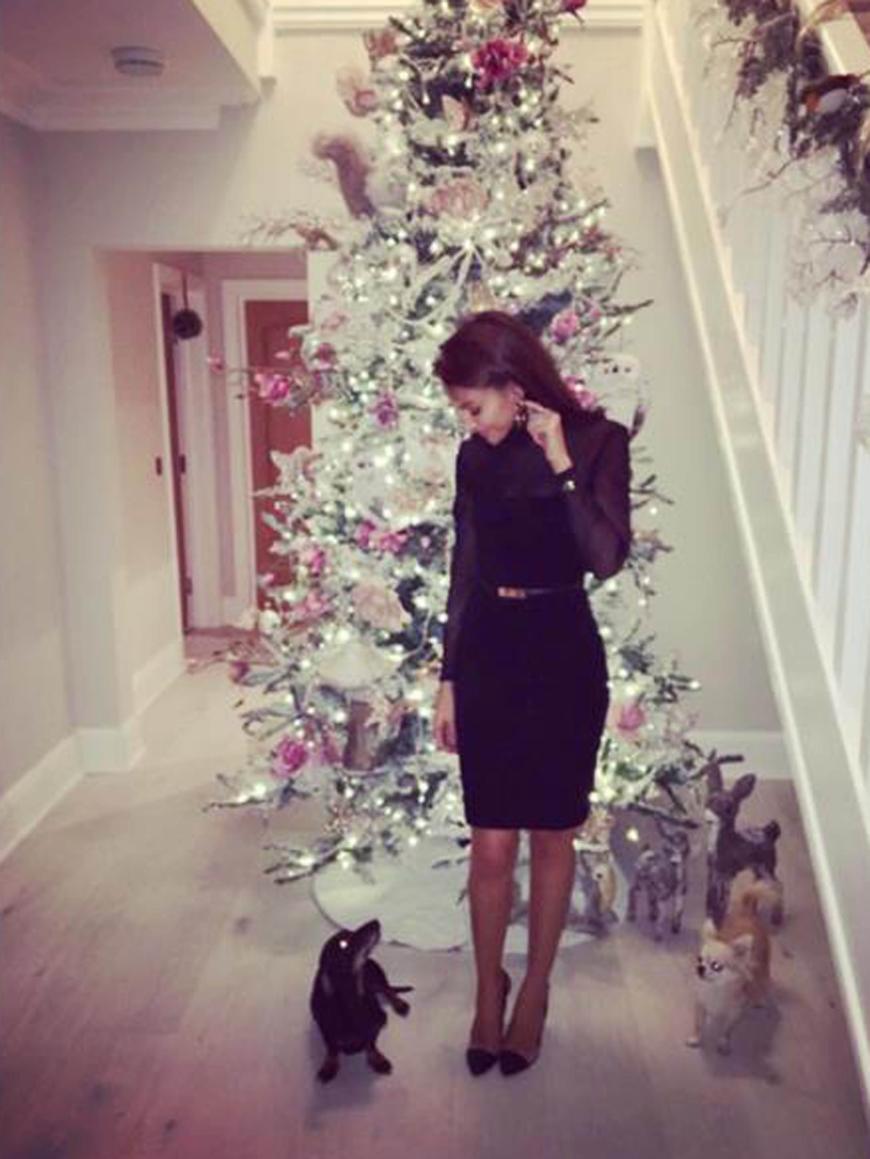 Auch die Hunde sind von den Socken: Michelle Keegan zeigt ihren Traum von Baum.