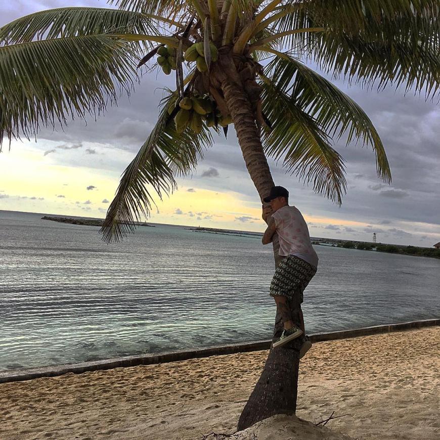 Was hat ihn denn so auf die Palme gebracht? Justin Bieber zeigt seine Kletterkünste.