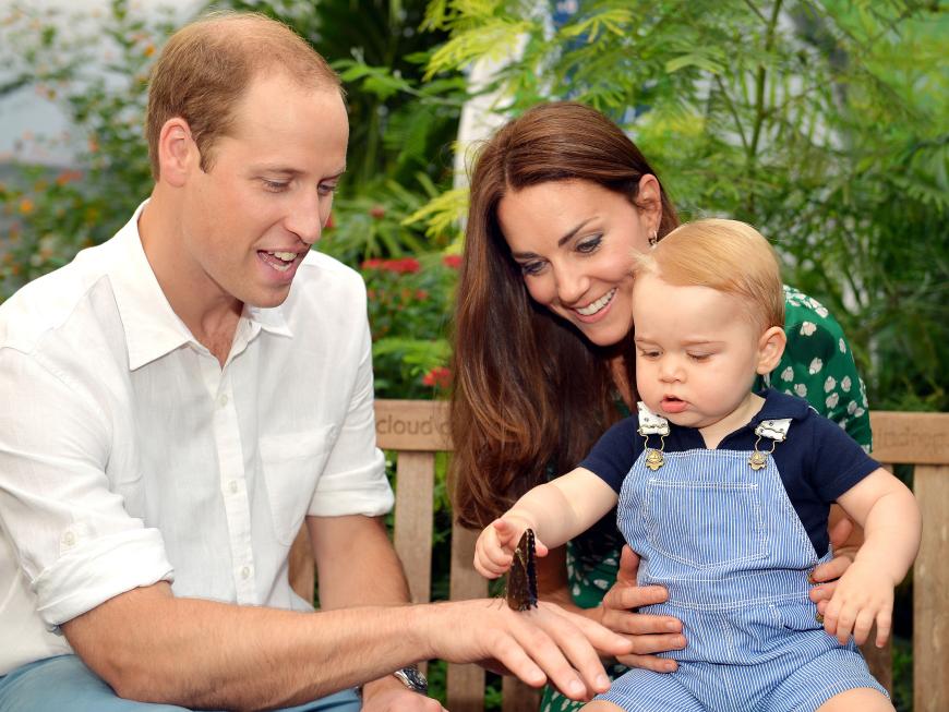 Baby George ist sichtlich interessiert an den bunten Faltern