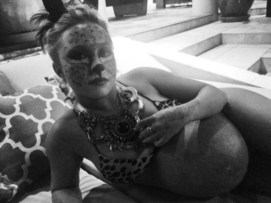 MIAUUU! Hayden Panettiere als schwangeres Kätzchen