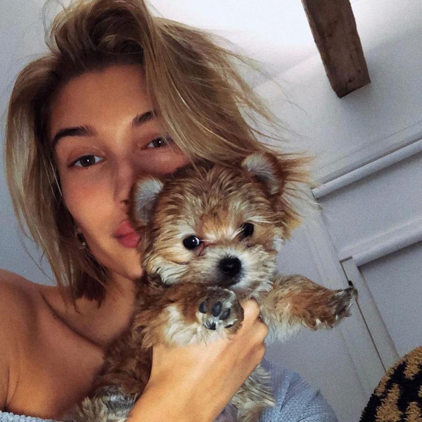 OMG! Wir sind verliebt in das süße Hündchen von Justin und Hailey Bieber.
